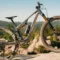 Essai Canyon Lux Trail 2026